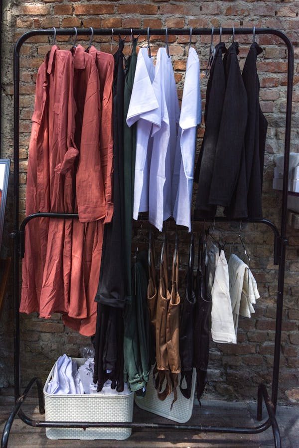 Guide complet pour cultiver le black sequoia en entreprise